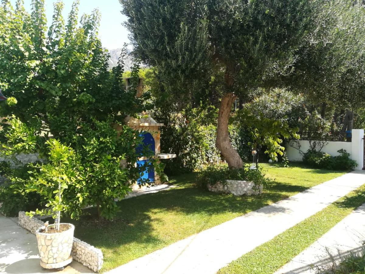 זאוסטרוג Apartment Soldo מראה חיצוני תמונה